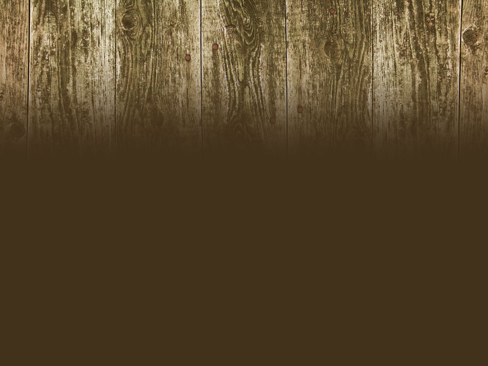 Team K Outfitters — photo 1